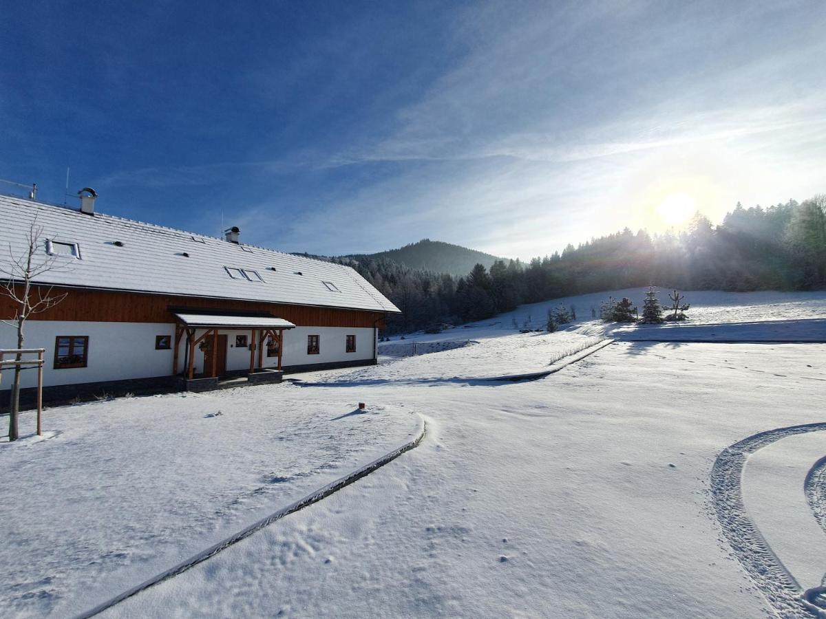 Penzion Stribrnik Krasna  Экстерьер фото