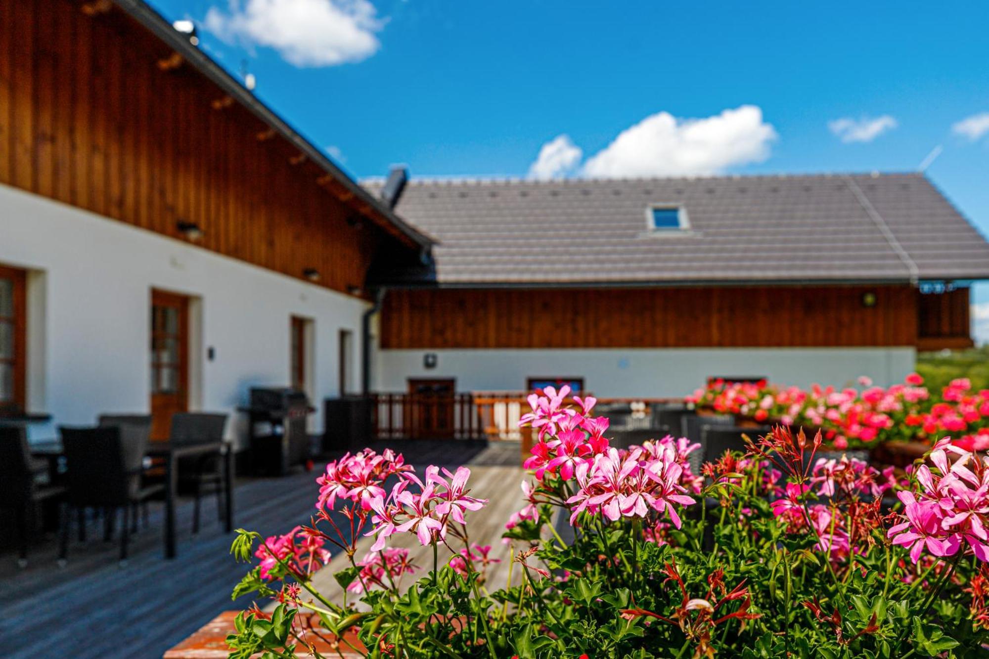 Penzion Stribrnik Krasna  Экстерьер фото